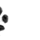 Illustration for article titled I Played Music for a Cat. Heres How the Cat Reacted.